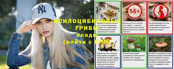 каннабис Корсаков