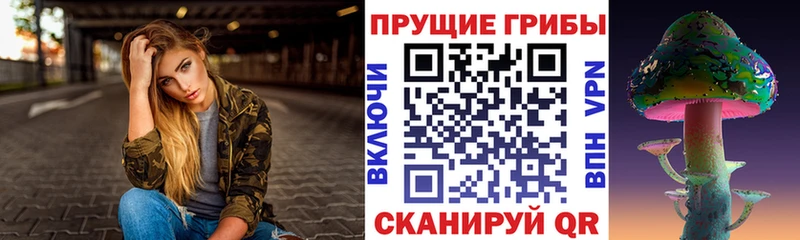 Купить закладки  Вологда  Галлюциногенные грибы Psilocybine cubensis 